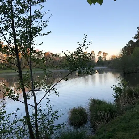 La Chenaie Sainte Foy Des Landes *