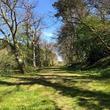 La Chenaie Sainte Foy Des Landes * Sainte-Foy (Landes)
