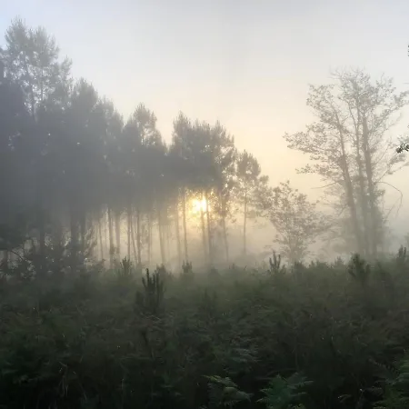 La Chenaie Sainte Foy Des Landes